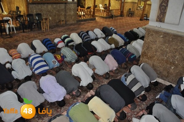 trawe7 mahmodiya 713 (4).JPG